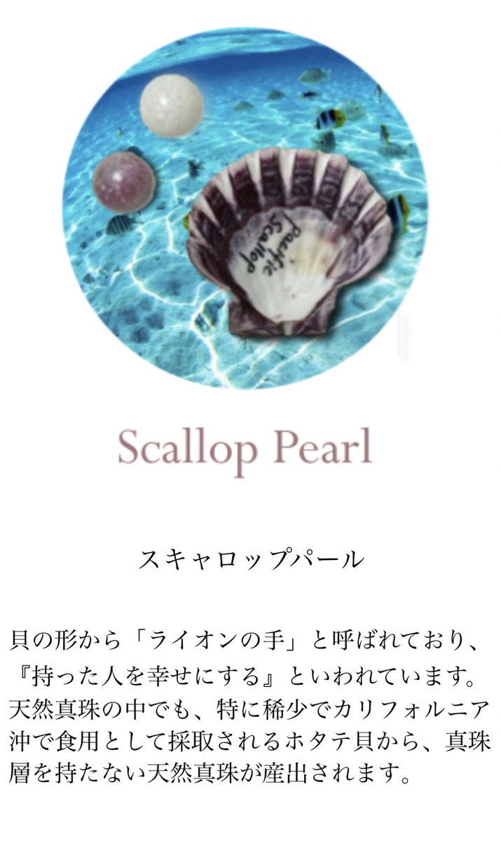 持ってる男平野紫耀 スキャロップパール 調べたら 稀少 ホタテはその形