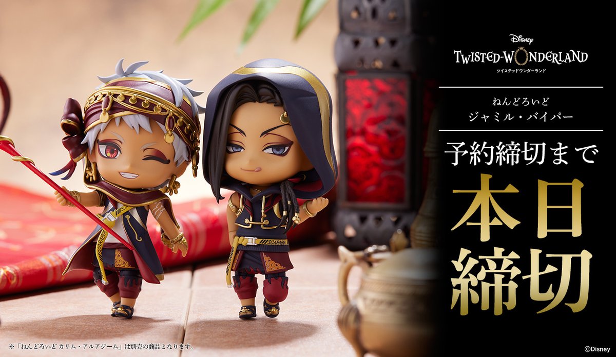 ◇━━━━━━━━◇ ⌛本日締切