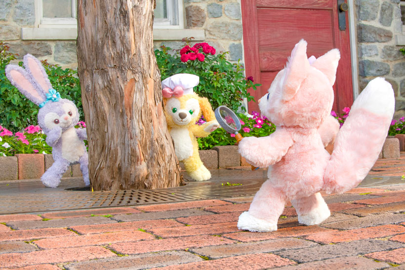 リーナベル いかさ ステラルー×2 クッキーアン