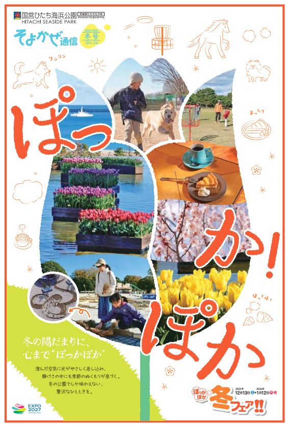 そよかぜ通信2025冬号」を発行しました。 アイスチューリップをはじめ