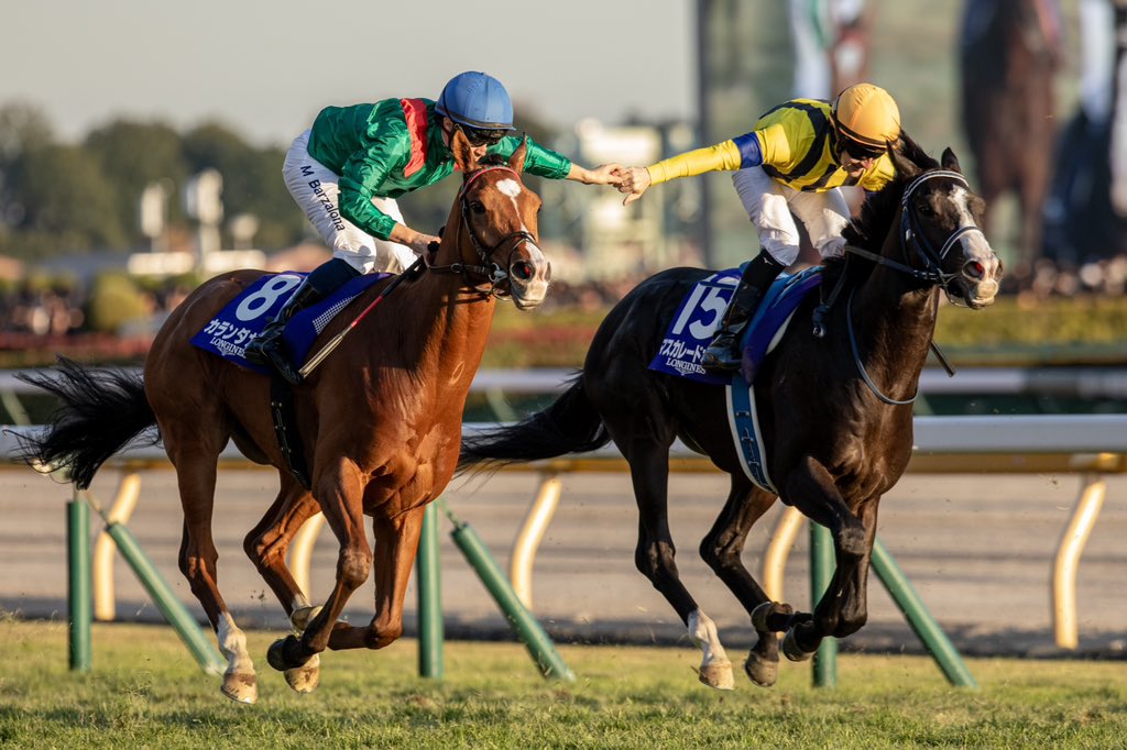 Calandagan the first horse to complete the King George VI & Queen