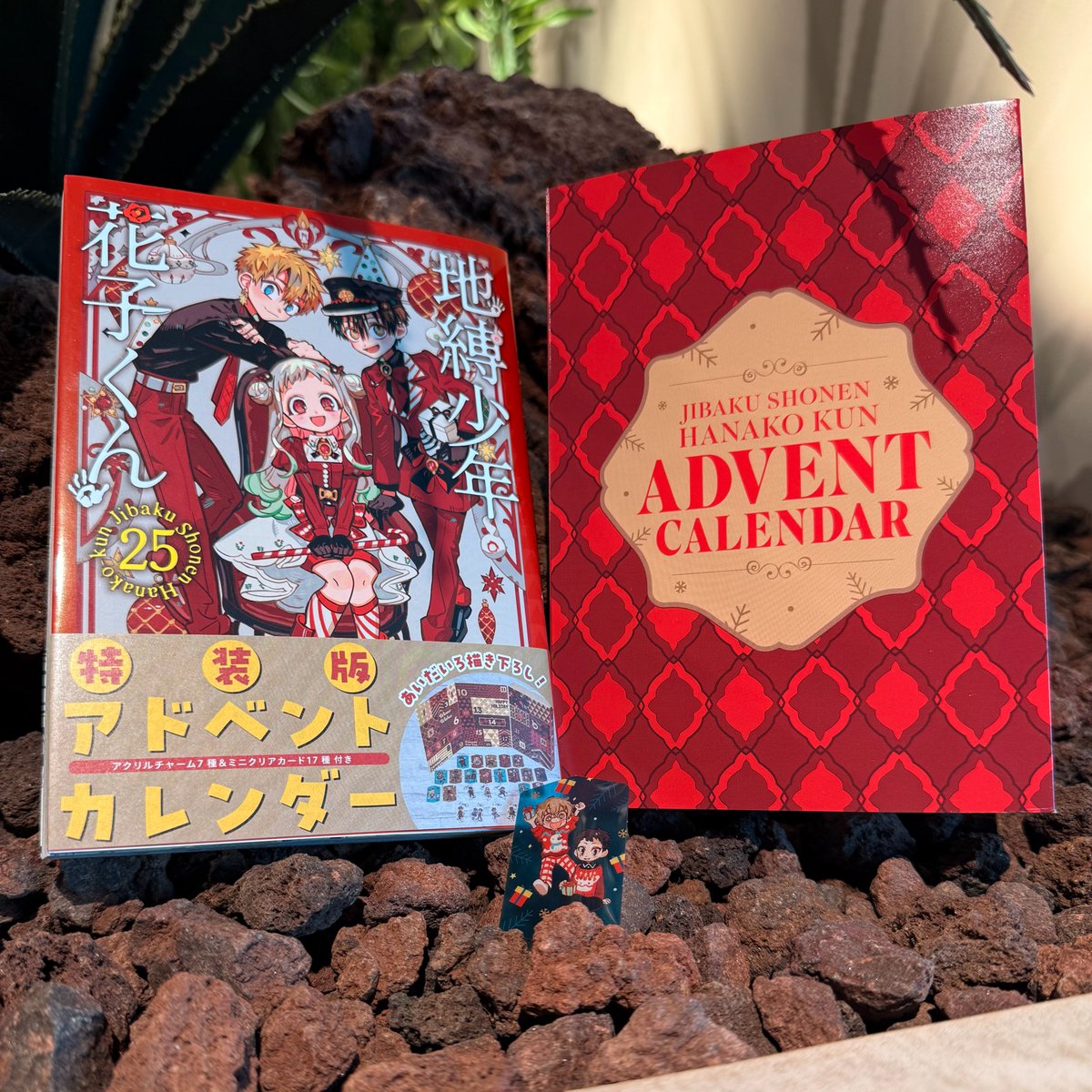 クリスマスまであと20日🎄 ミニクリアカード 本日は、横尾⛵️＆佐藤