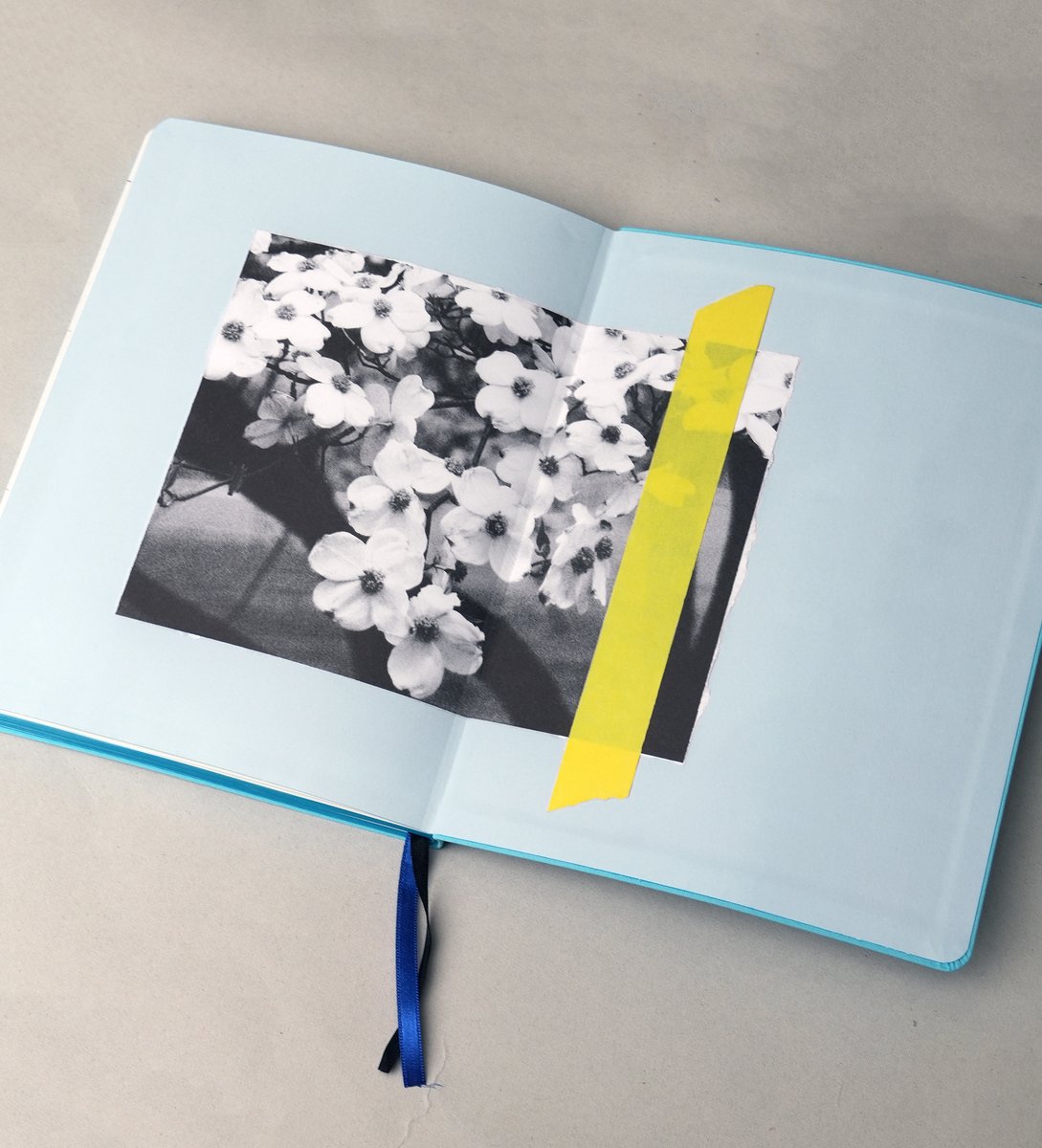 人気ですぐに売り切れてしまった、ソフィア・コッポラのスケジュール