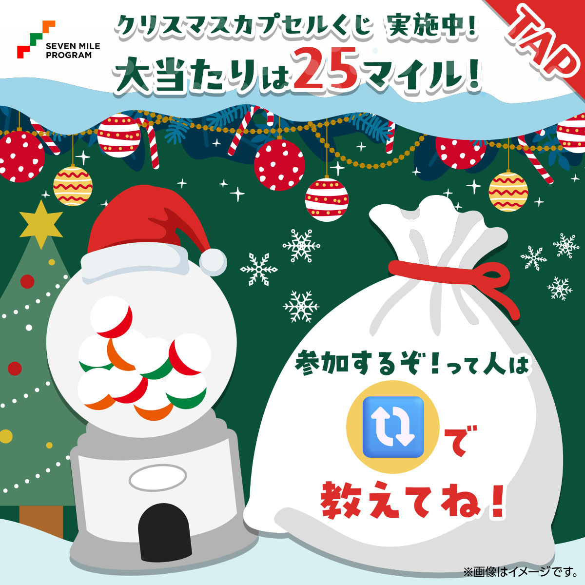 🎅⁃⁃ ❤クリスマスカプセルくじ❤ 🪙本日スタート🪙 ⁃⁃🎄 ＼チャンスは