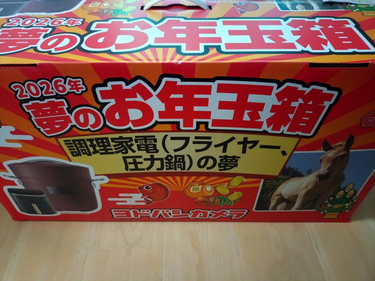 ヨドバシカメラの2026年夢のお年玉箱「調理家電（フライヤー・圧力鍋