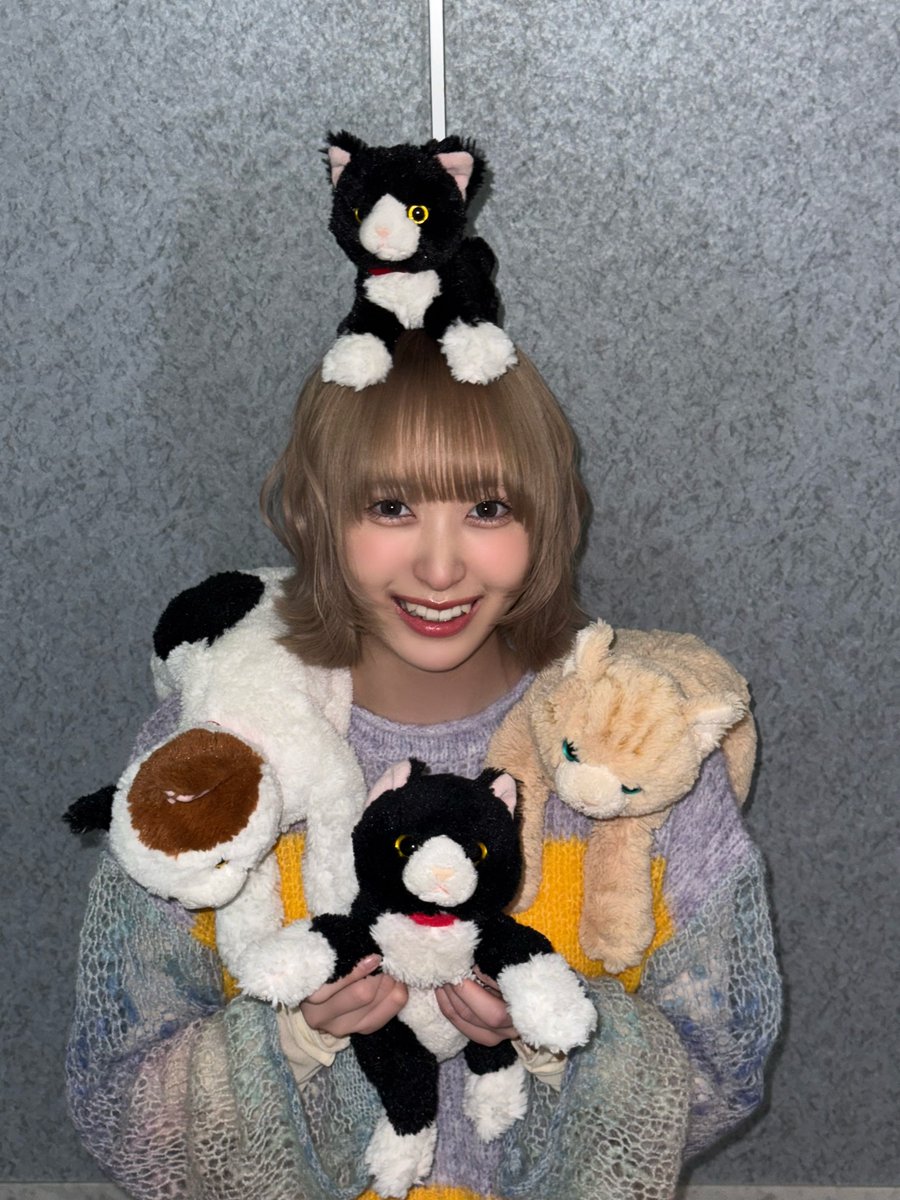 Post by 川中子 奈月心 on X: 猫×5