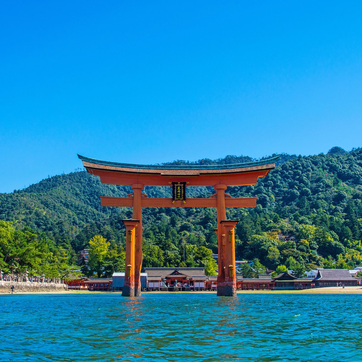 早いもの勝ち！激レア！厳島神社(世界遺産)限定 セレブトランプ