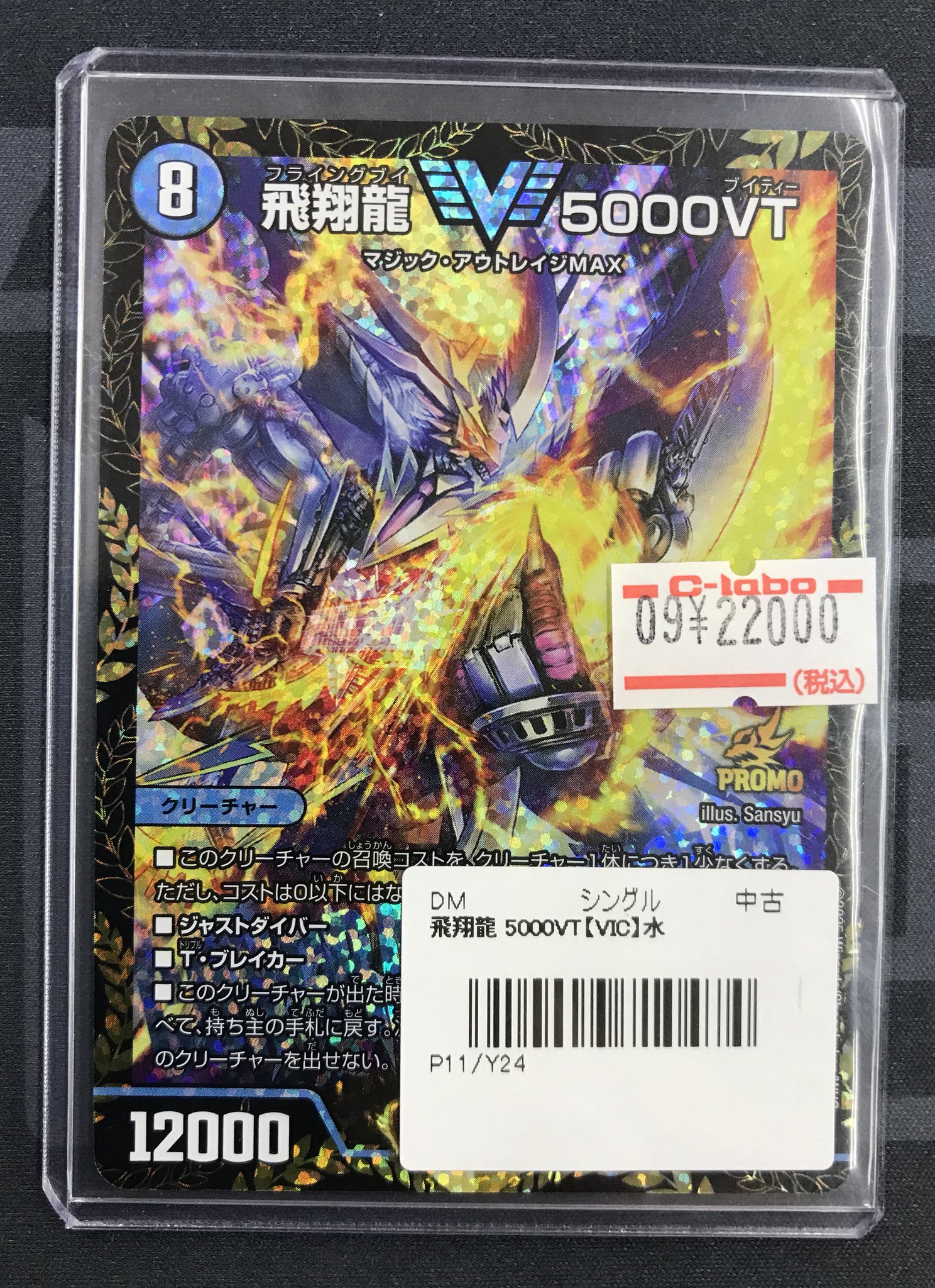 飛翔龍5000vt csプロモ 2枚 飛翔龍5000VT CS プロモ 2枚 5000vt cs