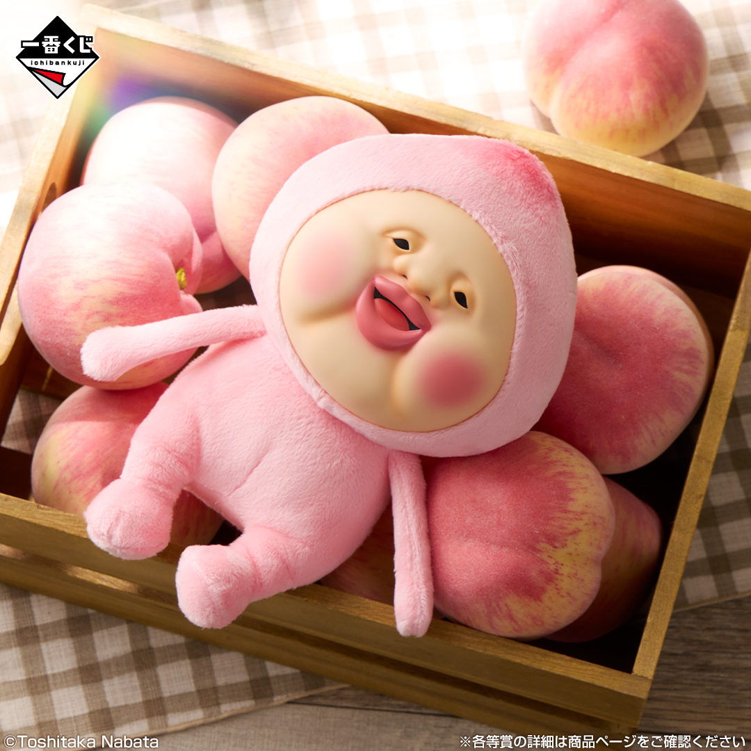 一番くじ こびとづかん ＼ 明日11/8(土)朝10時発売‼️ 大人気の