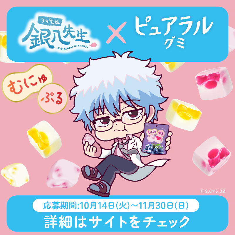 キャンペーン】 📢重大発表 3年Z組銀八先生 ×ピュアラルグミ