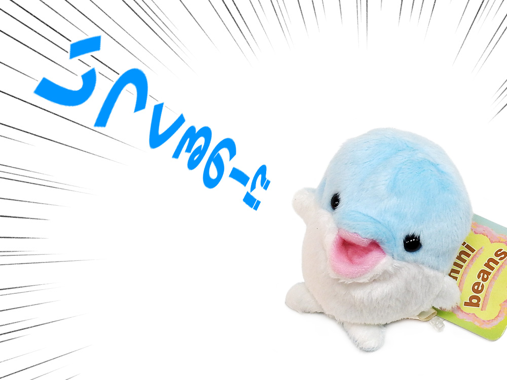 再入荷がかなり遅れているミニビーンズイルカですが、ようやく11月中旬