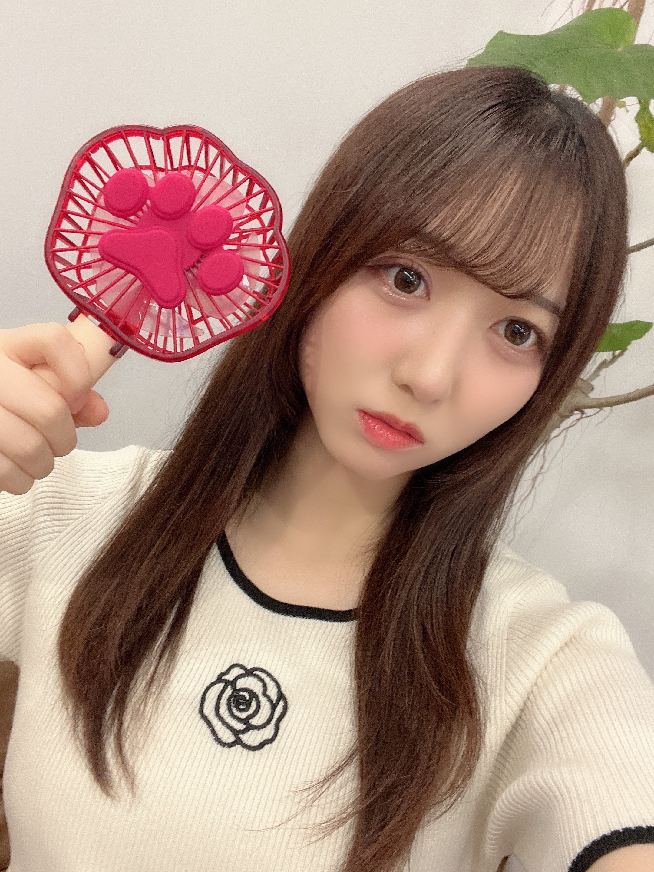 ズートピア アイスキャンディー ハンディファン ディズニーストア