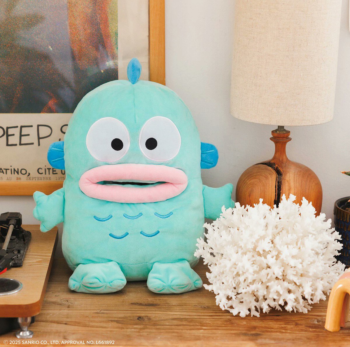 ⚠️スペシャルブック情報【予告】📣🆕／ 「ハンギョドン40周年