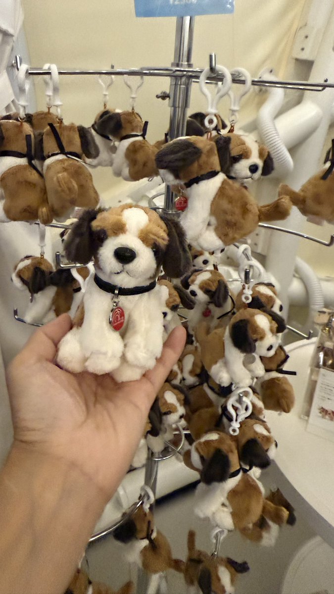 スイスパビリオンで 万博限定ヨーゼフのぬいぐるみ発見💡 可愛すぎて即