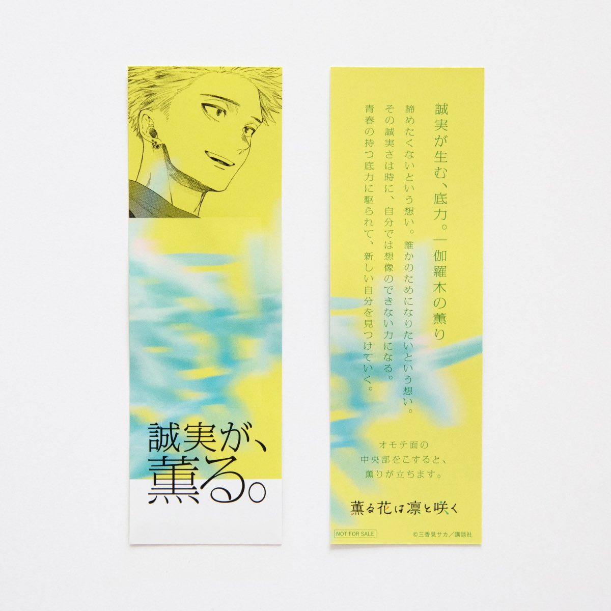 19巻発売まであと6日！ 誠実が、薫る。 紬 凛太郎｜伽羅木の薫り 全国