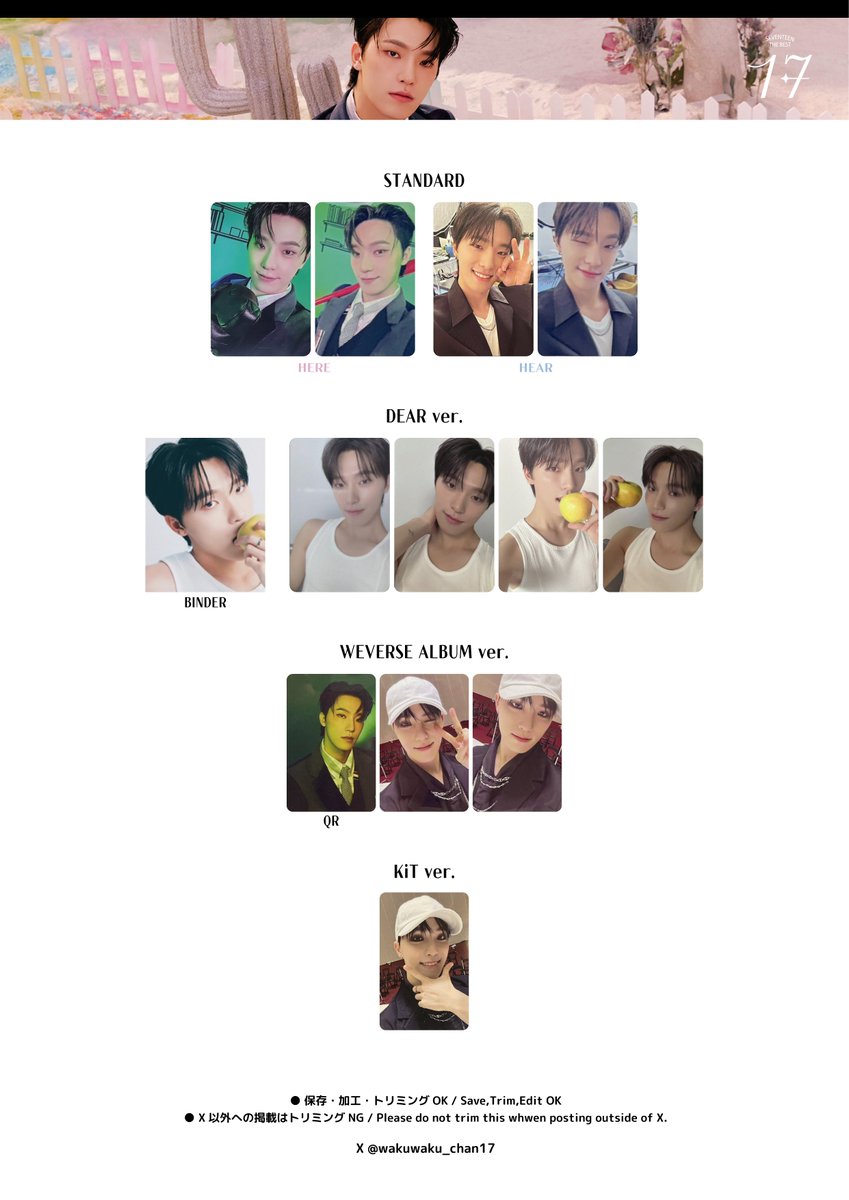 17 RIGHT サイン HERE ディノ 生写真 IS