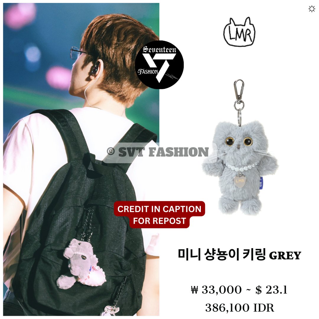 Wonwoo style at Seventeen in Caratland 2024 Day 2 (240724) 1. LMR