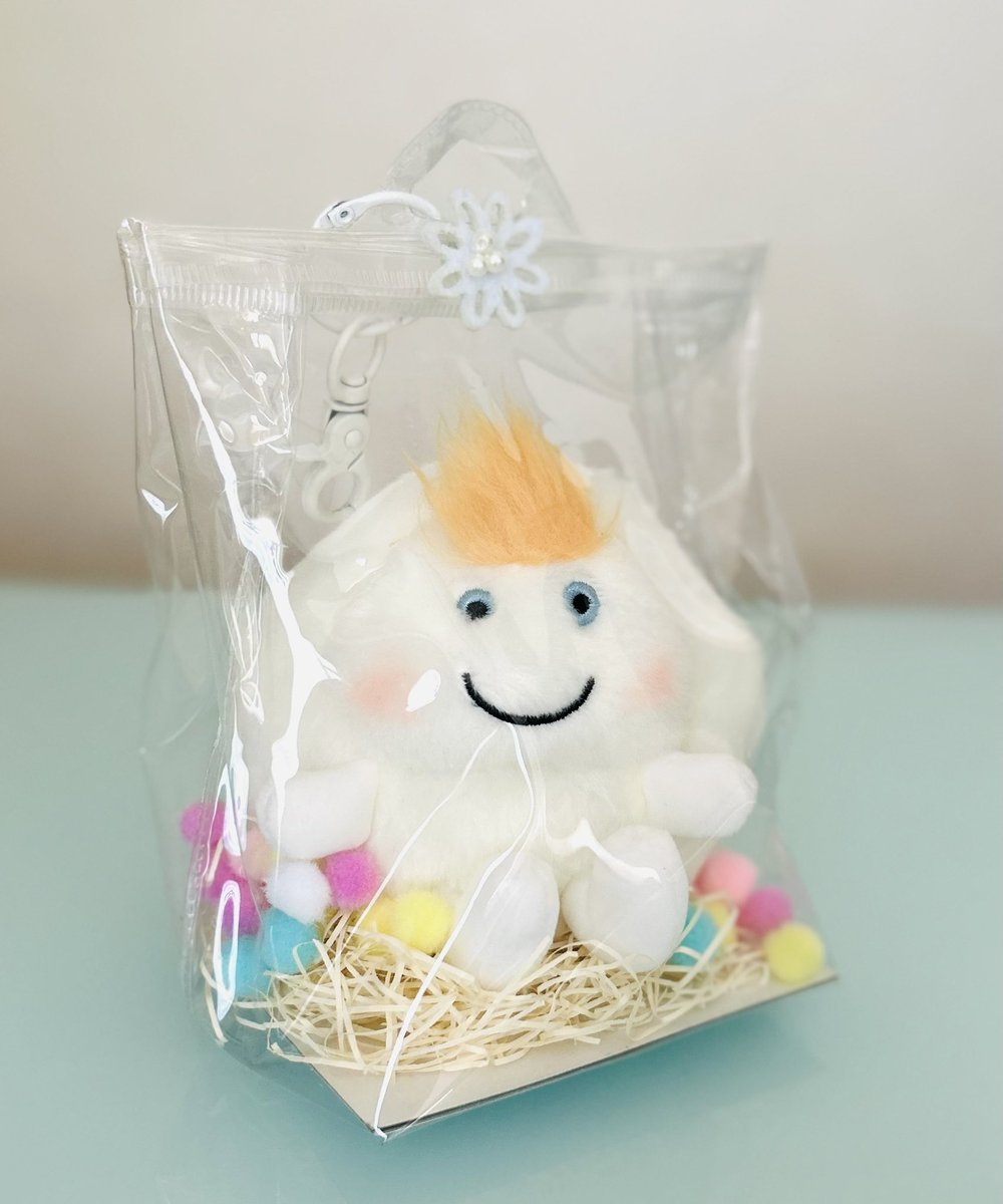 Windy©を入れる手頃なポーチになかなか出会えなかったので作ってみまし