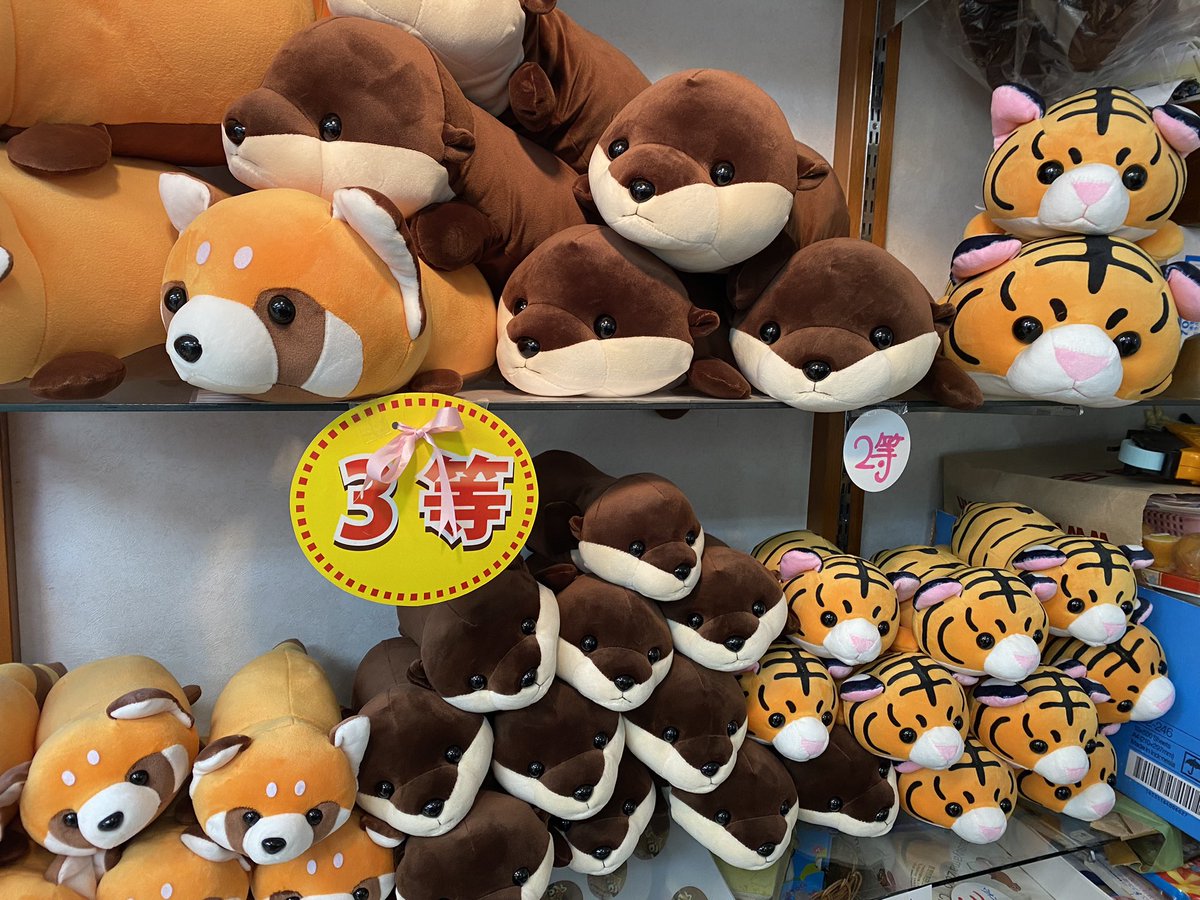ウォンバットパペット販売決定❤️ 12/1から茶臼山動物園売店にて販売