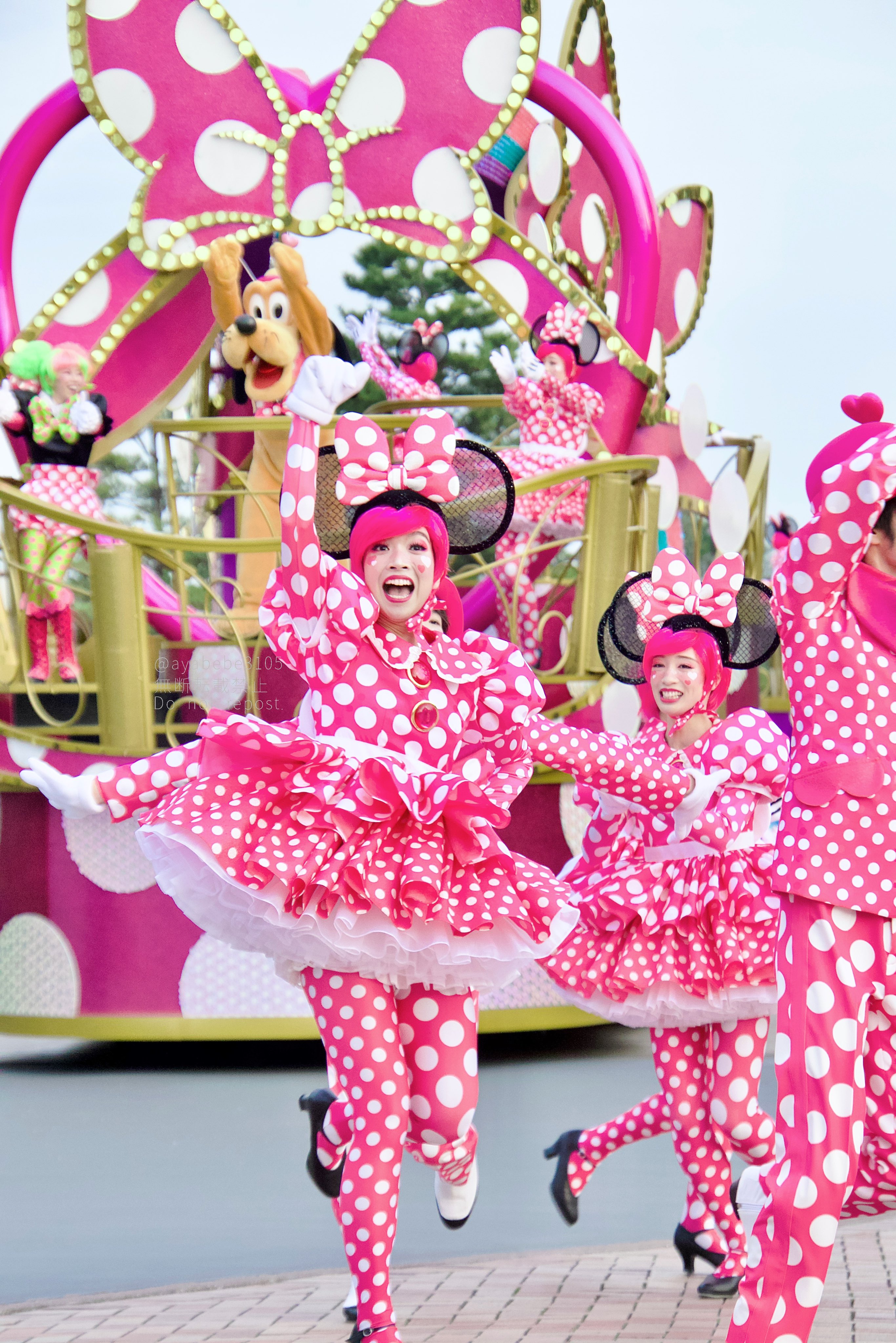 ディズニーパルパルーザ ミニーファンダーランドコスチューム一色