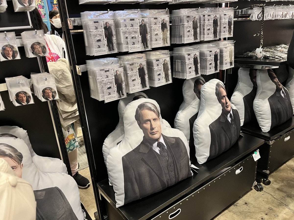 ファンタビ地上波でグリンデルバルドを観てマッツ・ミケルセンに狂う