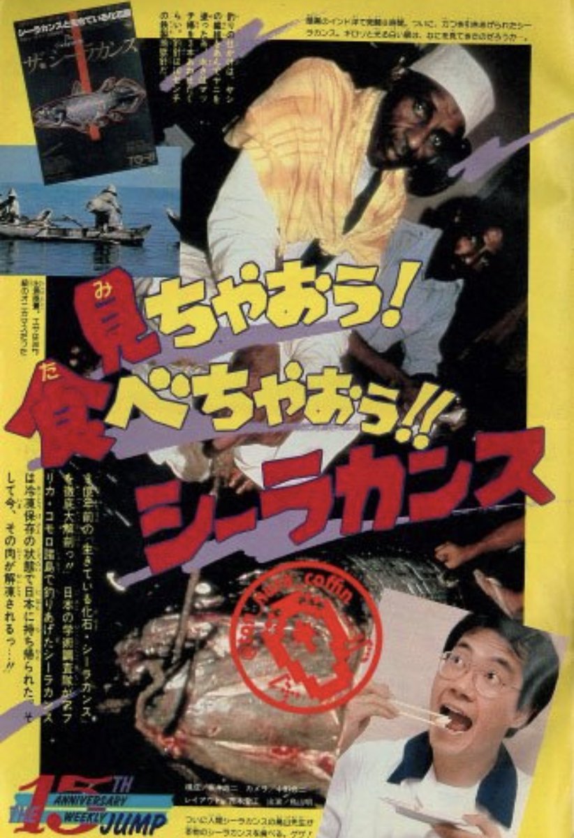 先日、沼津市のシーラカンスミュージアムに行ったのでその後色々調べて