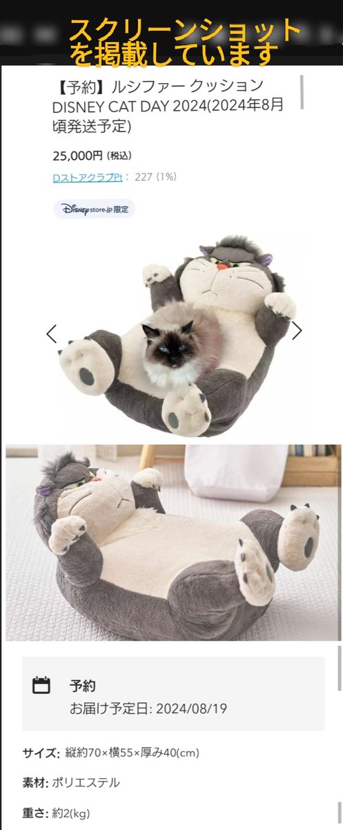 限定142個】Disney モフ活 特大クッション ルシファー 新品未開封 限定