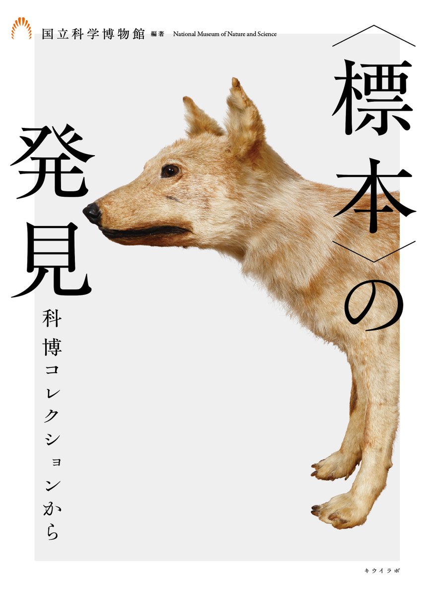 話題になっている、国立科学博物館所蔵のヤマイヌ剥製標本は