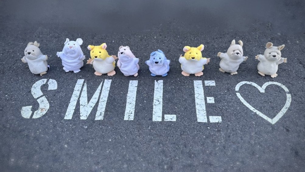 こちらのネズミのぬいぐるみを持ってる方がいらっしゃいましたら連絡