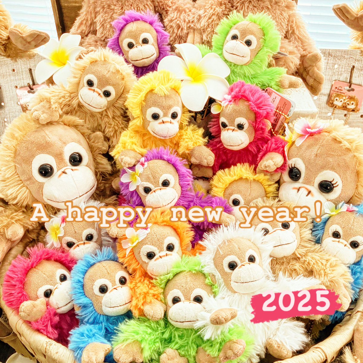 BabyCoco & Natsu 公式 (@BabyCocoNatsu1) / Posts / X