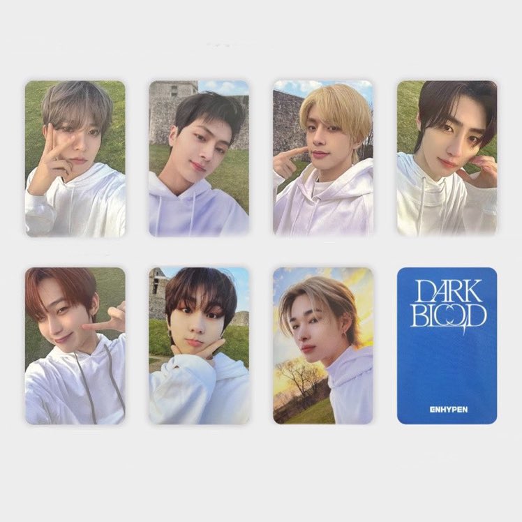 ENHYPEN DARK BLOOD NAMIL music 3.0 中華 共同購入 譲｜ソンフン以外