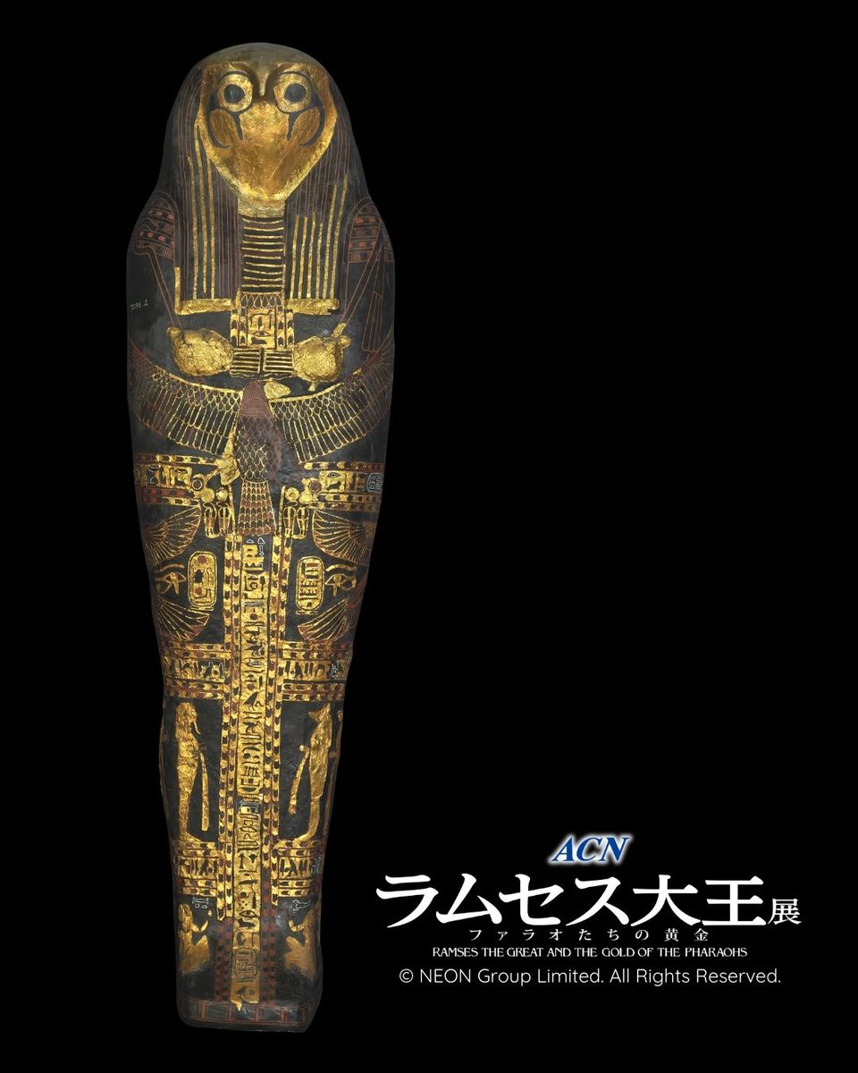 🫷ラムセス大王展 展示物のご紹介🫸 古代エジプト王の眠る場所