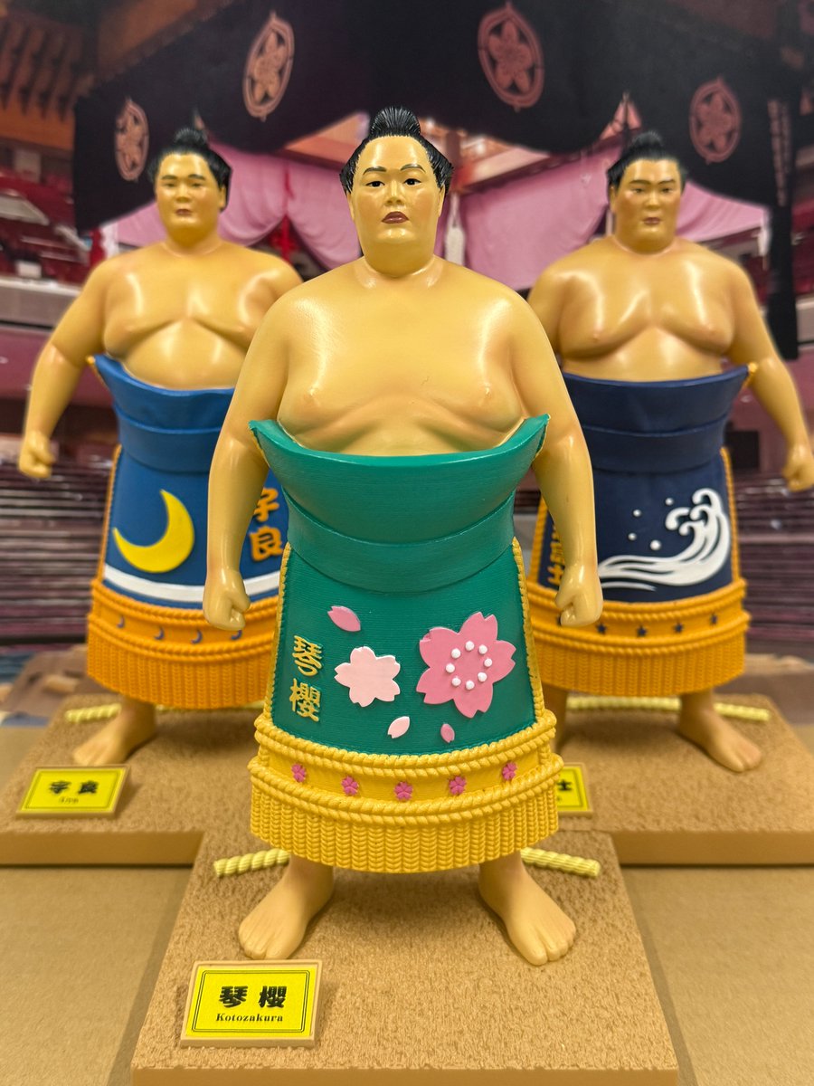 相撲フィギュア 12体セット②