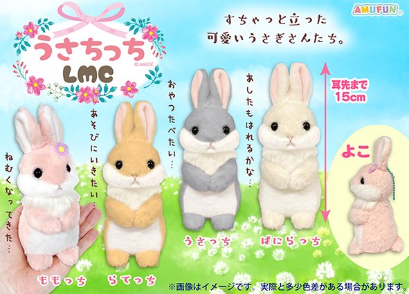 予告！／ うさぎの立ちポーズ「うたっち」が可愛い！ うたっちの瞬間が