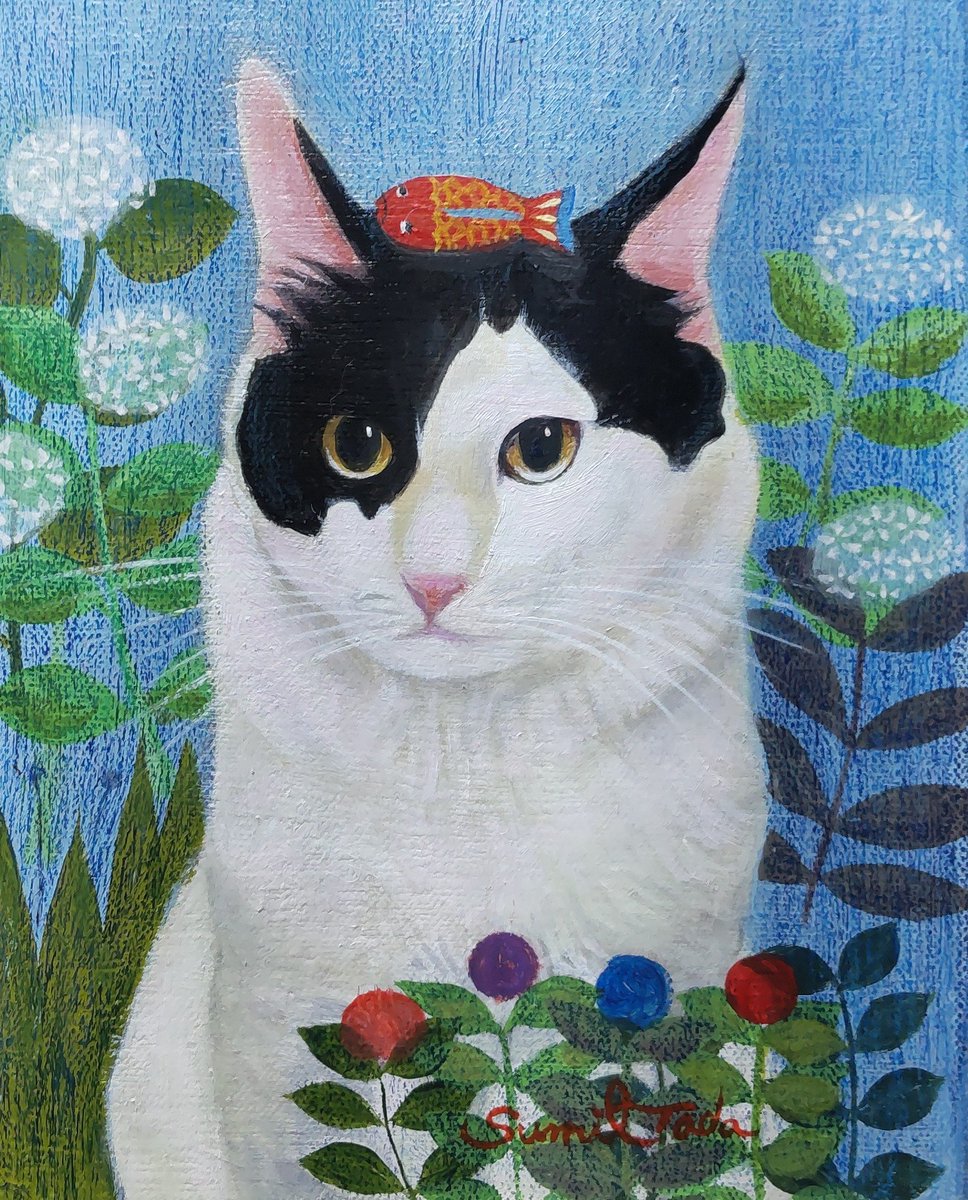 多田すみえ (@fukuneko5) / Posts / X