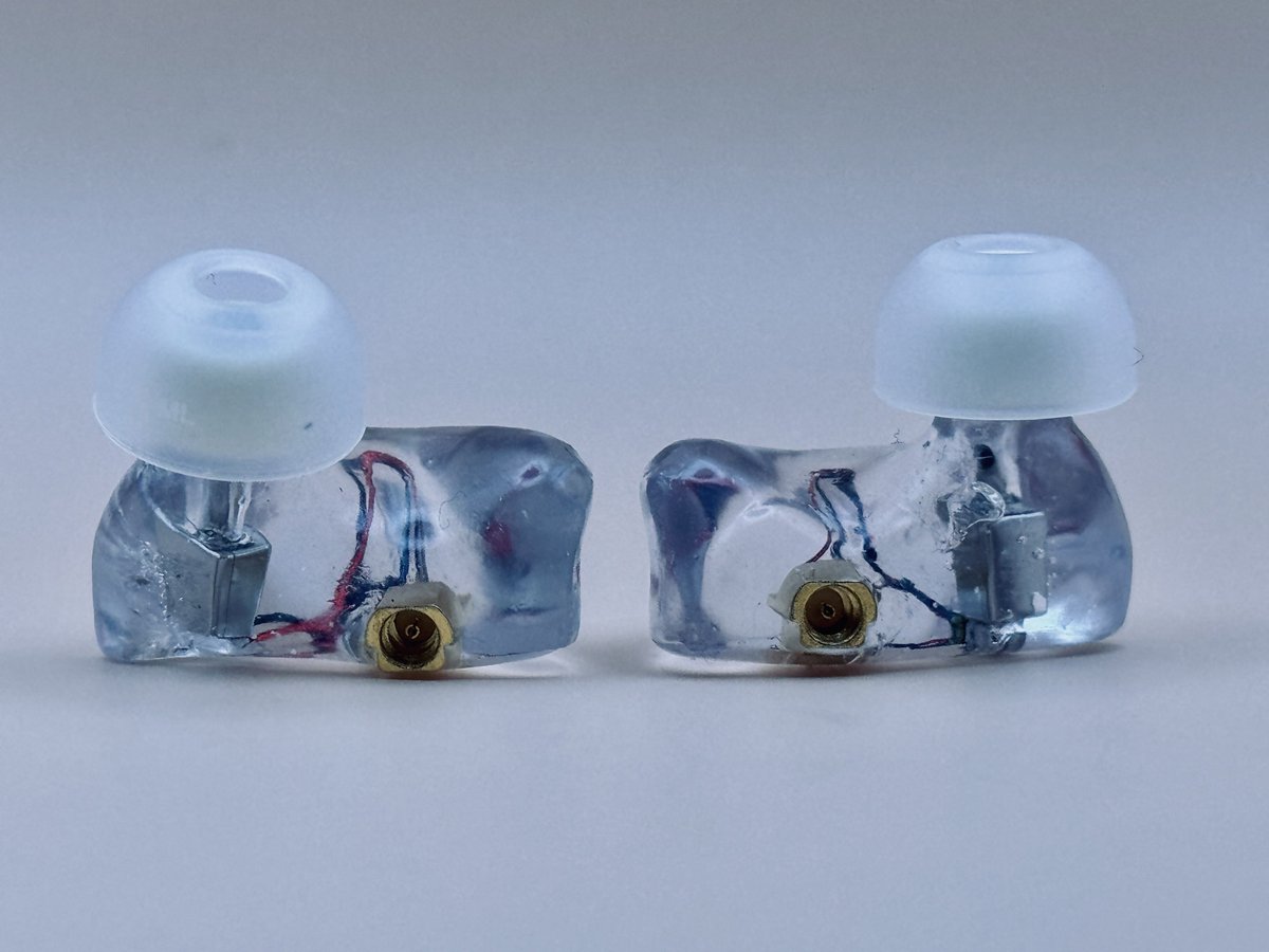 Etymotic Research ER4Sの個人制作リシェル品という謎イヤホンをフリマ