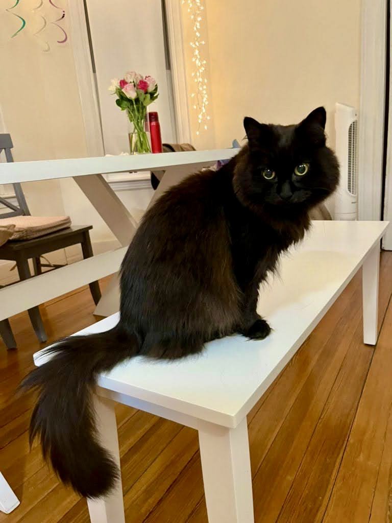 振り返ってみると、しおちゃんは奇跡