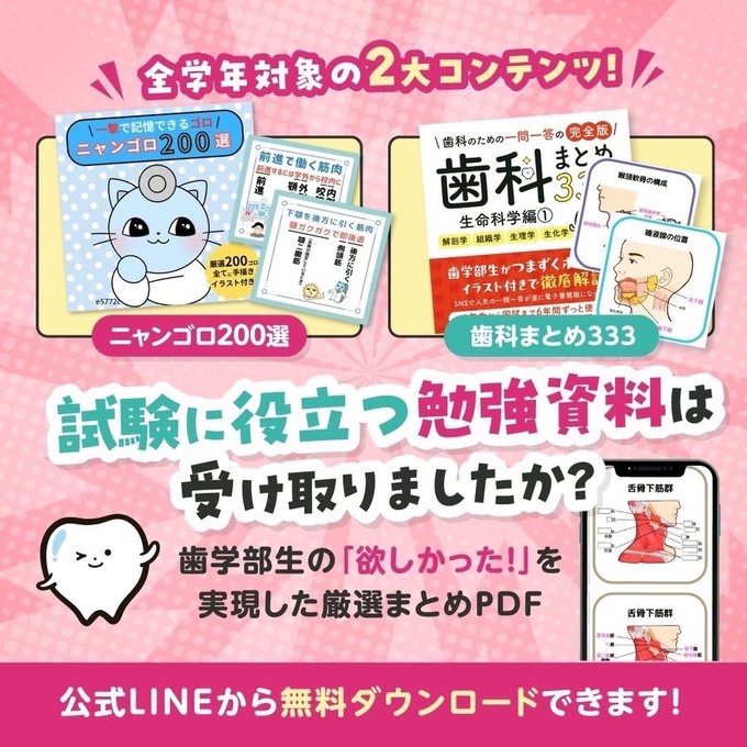 歯学部生必見🦷 