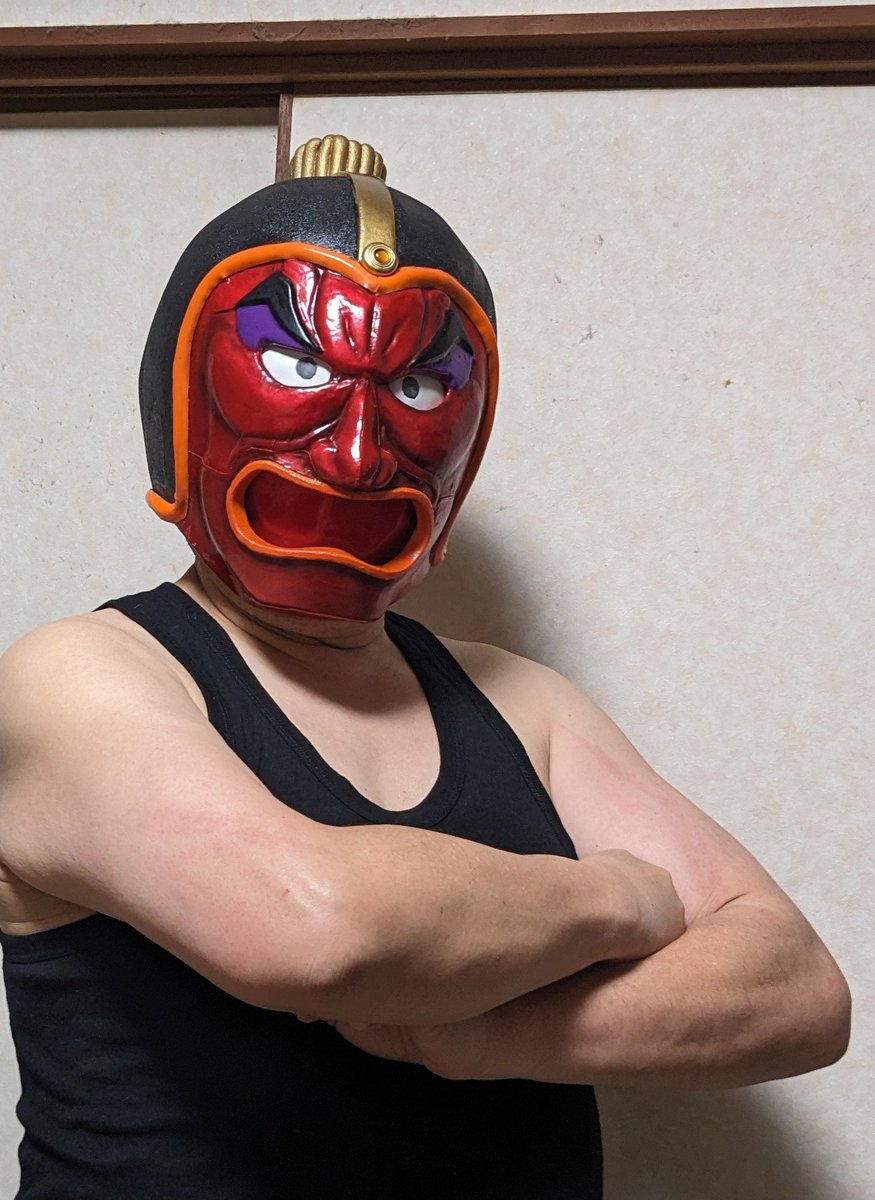 アニメタイガーマスクのなかで一番好きだったレスラー「ミスター不動