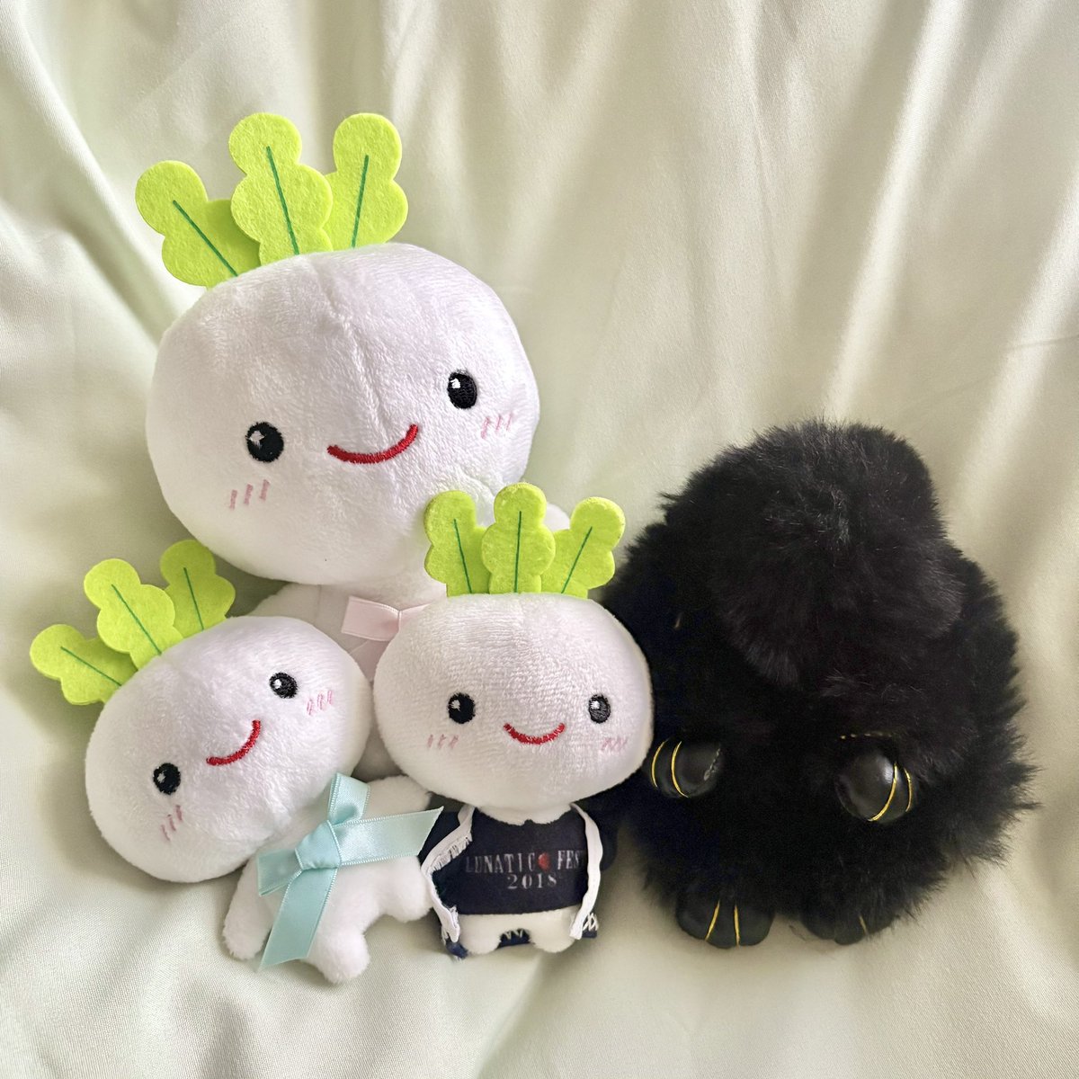 カブちゃん達、るなうさ、仕事行ってくるね