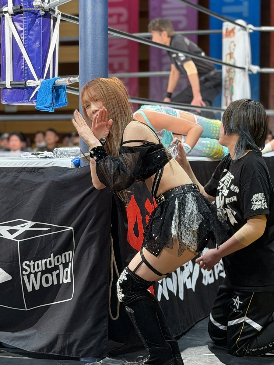 Ringo⭐️ (@Ringo_Tommy1222) / Posts / X