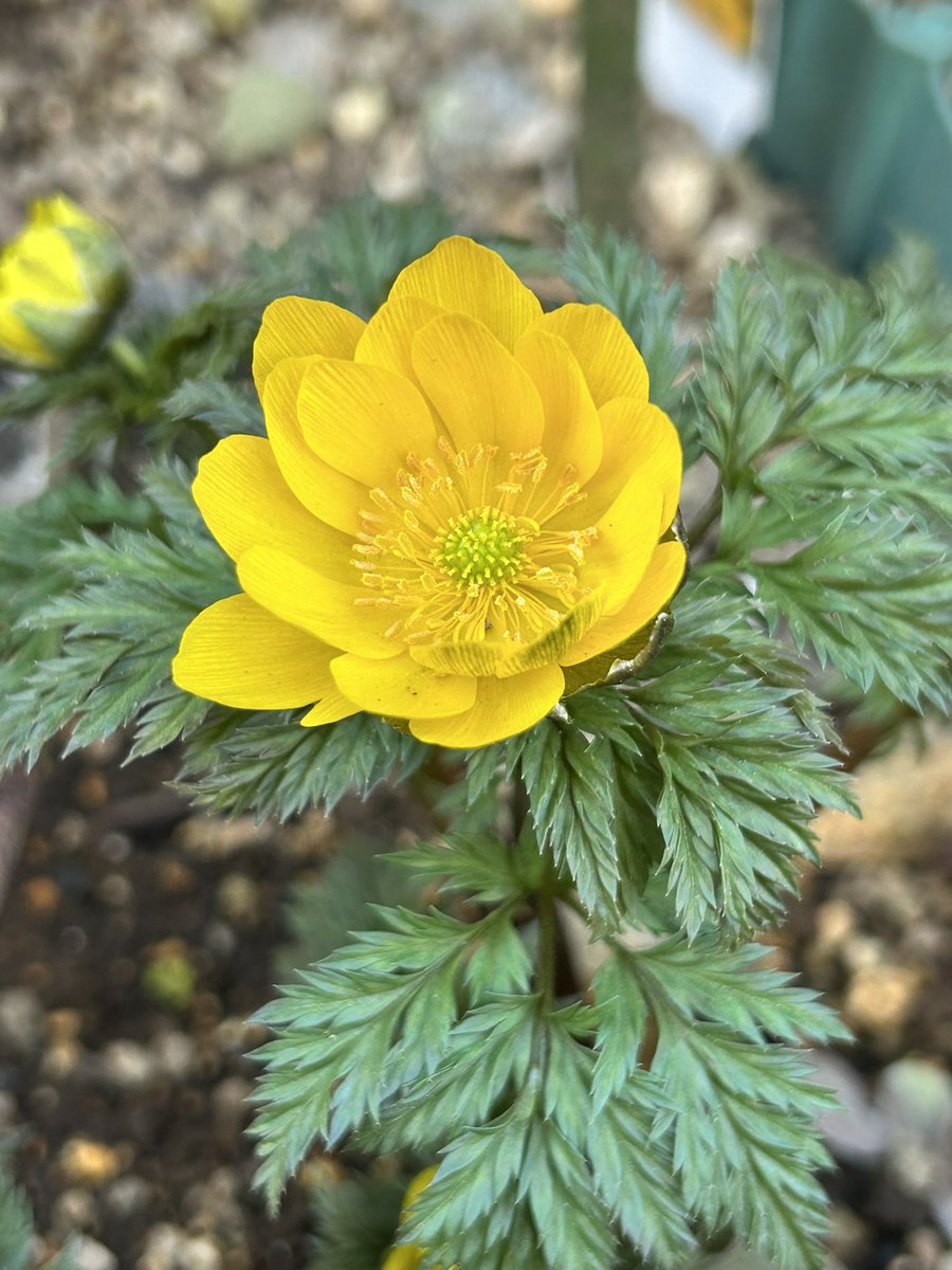 ピース🩵💚 (@momo35peach) / Posts / X