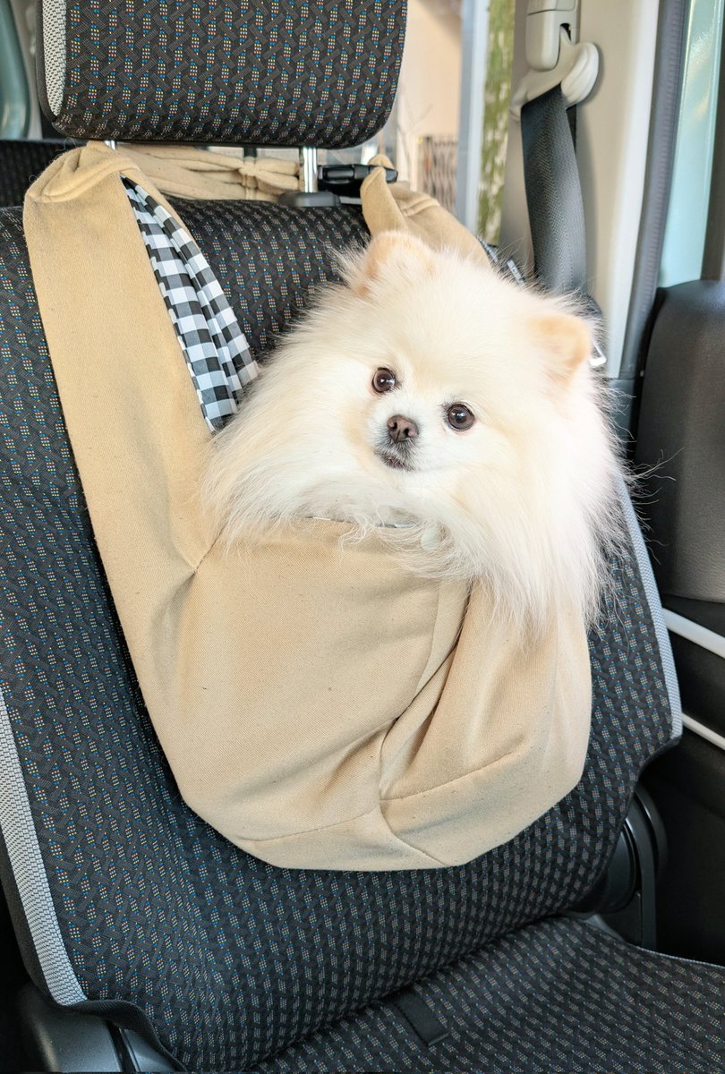 おこめ屋 (@chimaki0328) / Posts / X