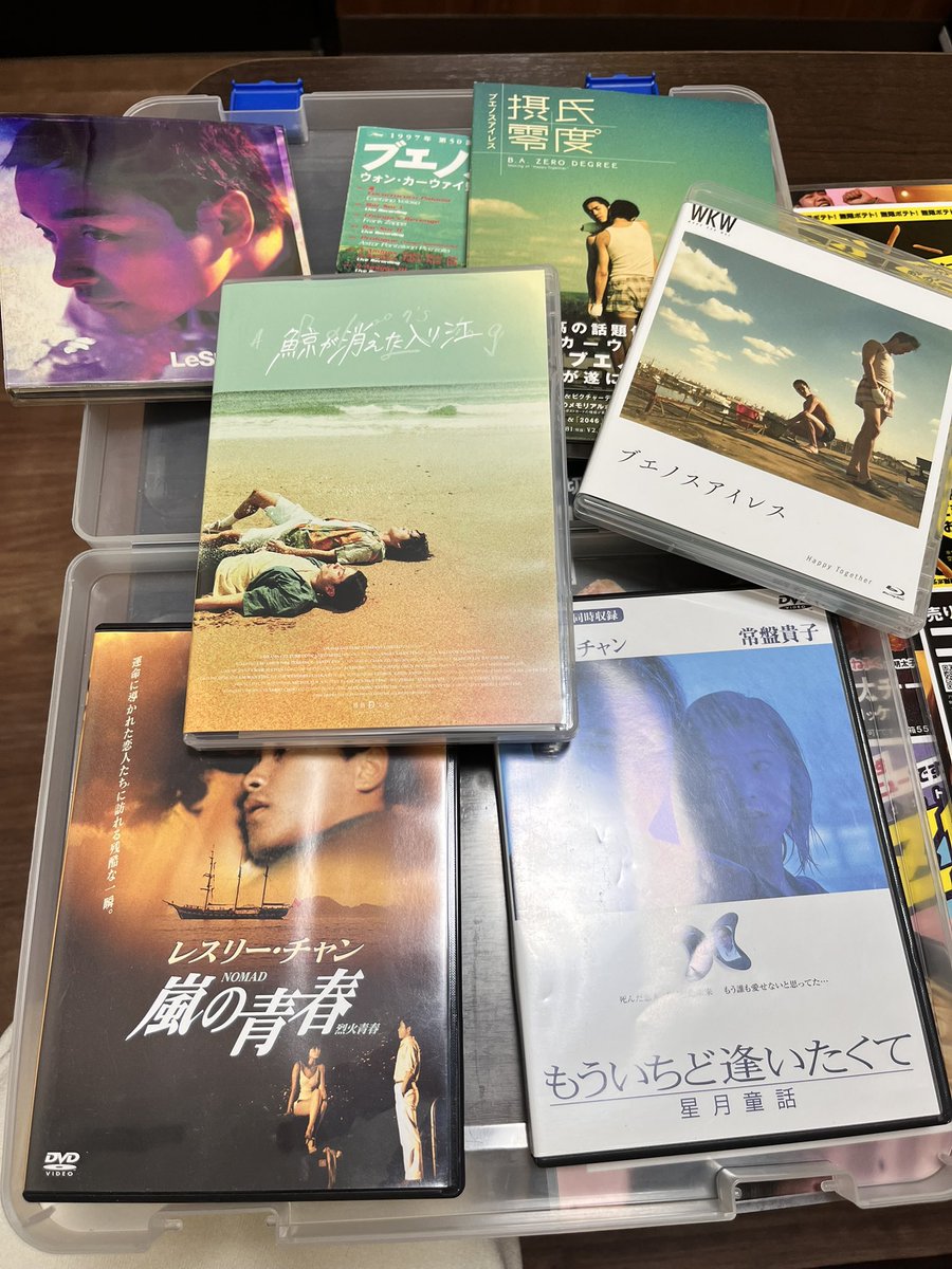 まみさんと台湾飯食べて鯨が消えた入り江から見るレスリー・チャン映画