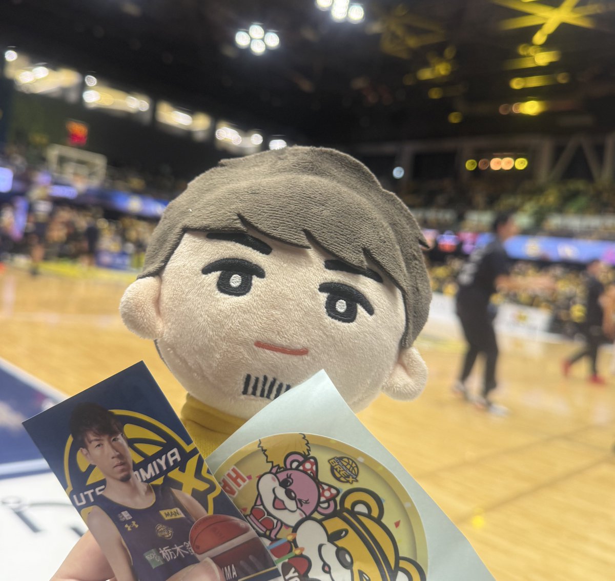 今日はここからだ🐶 マコ🐨が来た〜っ💕 #宇都宮ブレックス #比江島慎