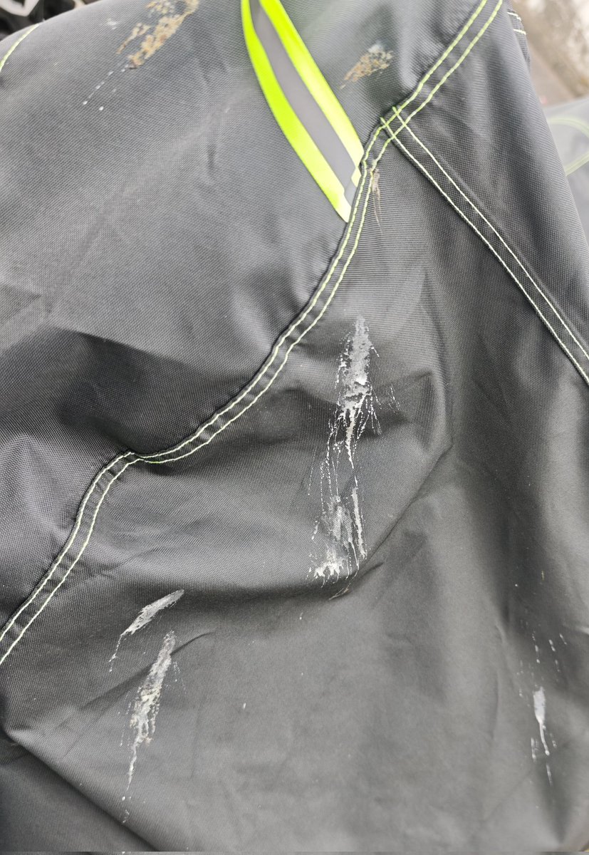 毎日毎日ボクのバイクの周りを重点的に爆撃しやがって… 焼鳥にすっぞ