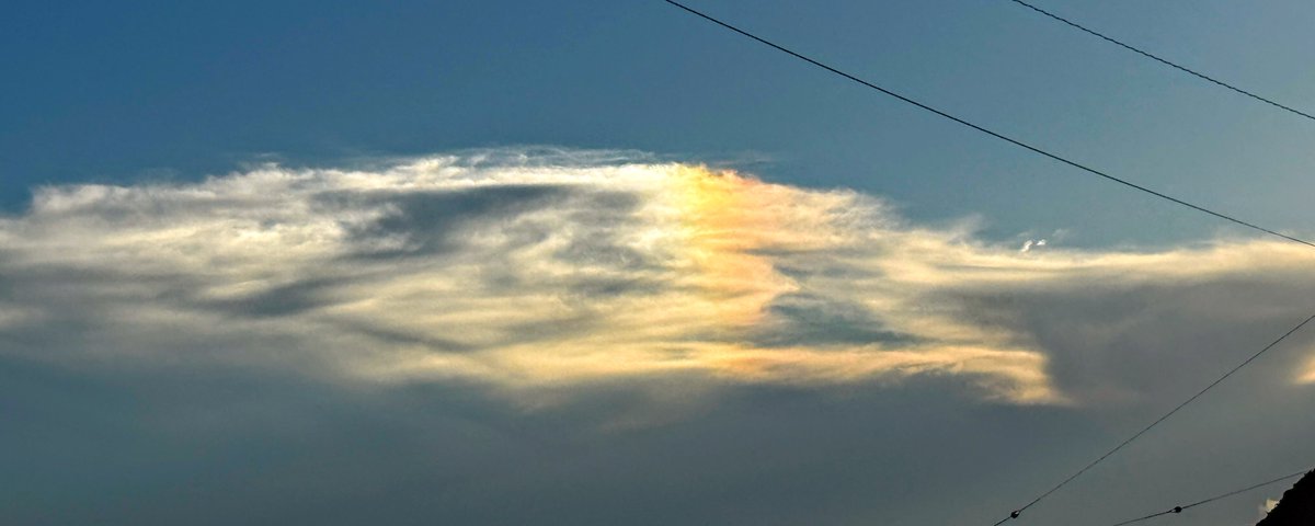 もっちー (@mochizukiayaka) / Posts / X