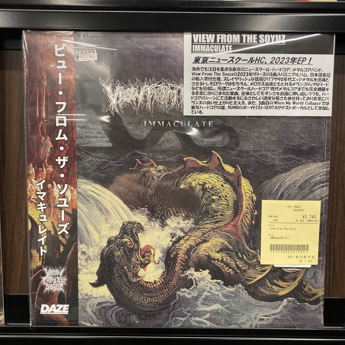 ≪新品レコード 再入荷≫ #duMetalVinyl ○VIEW FROM THE SOYUZ