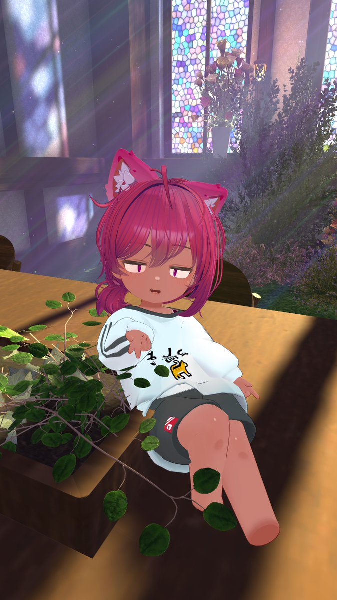 おはようございます✌