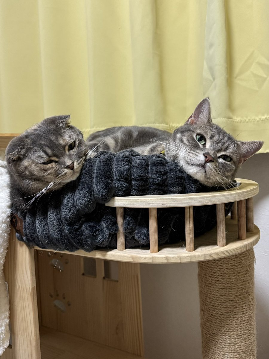 moka (@Moka0527Ramu) / Posts / X